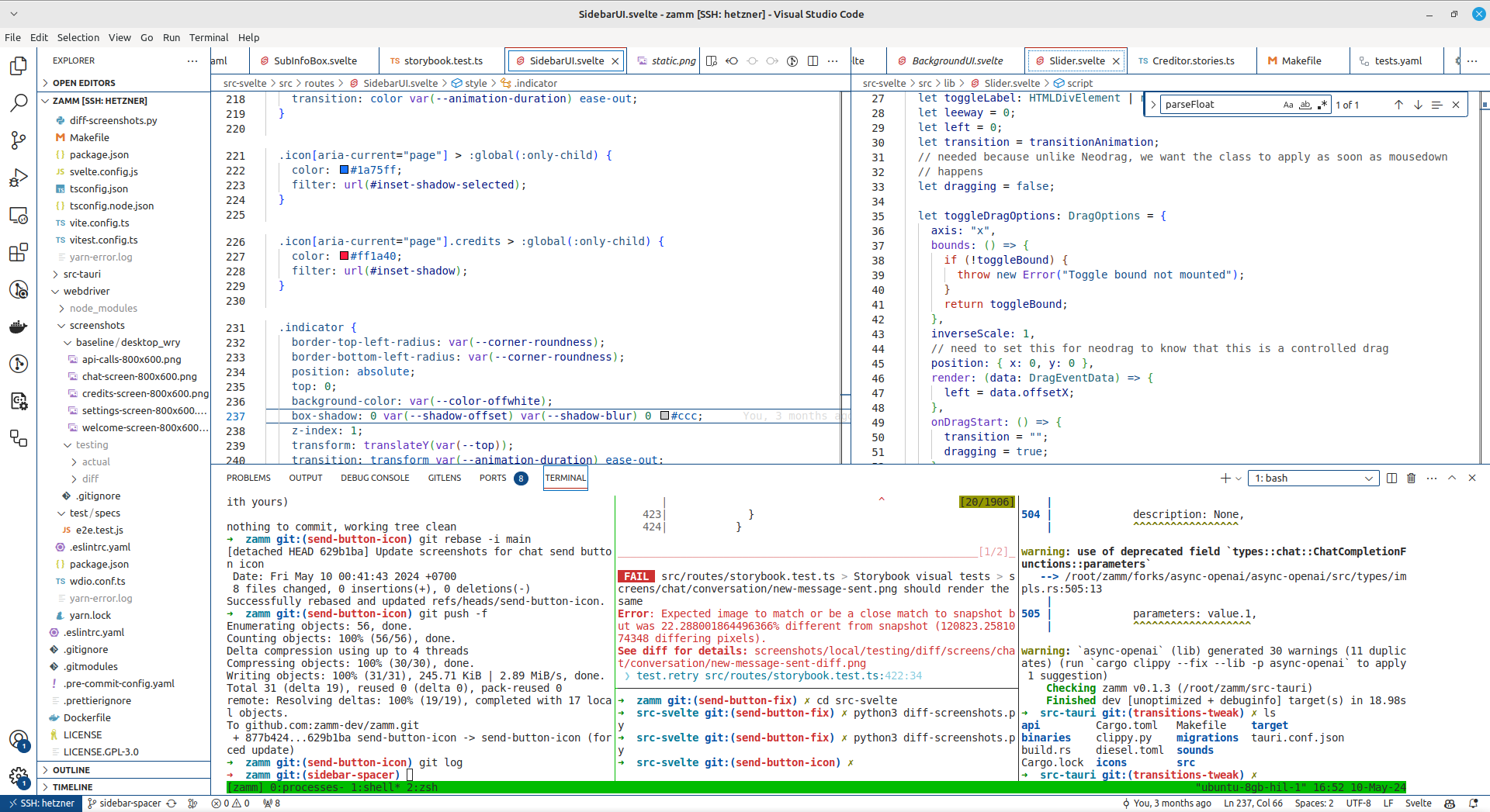 Screenshot of the professional VS Code program.