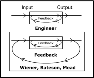 Second-order cybernetics diagram